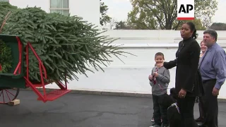 First Lady Accepts White House Christmas Tree