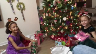 рождественские подарки, Christmas gifts, Florida, USA