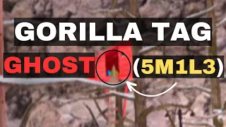 We Caught Ghost 5M1L3 in Gorilla Tag!