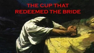 The Cup That Redeemed the Bride