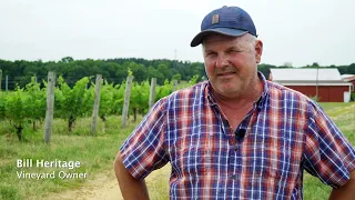 Grower Story: Bill Heritage, William-Heritage Vinyeards