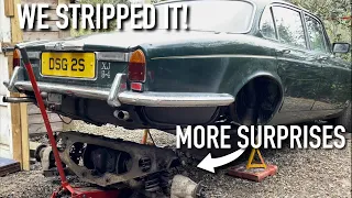 1978 Jaguar XJ6 | Barn Find | Part 4