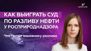 Что грозит виновнику разлива нефти, как выиграть суд у Росприроднадзора. Расчет ущерба, методика №87