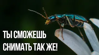 Макро фото без макро объектива! - Ренат Мансуров