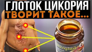 Вот что Творит Цикорий, если пить Каждый день