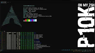 Красивый терминал как у меня | Установка и кастомизация zsh