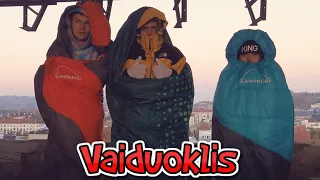 VIEŠBUTIS VAIDUOKLIS