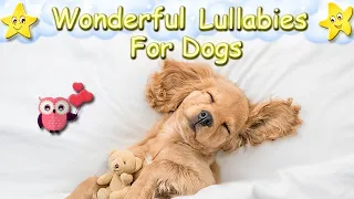 Super Relaxing Sleep Music For Dogs And Puppies ♫ Relax Your Dog
