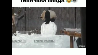 Панда vs снеговик