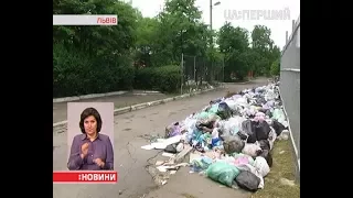 Понад 10 тис. тонн сміття залишається на вулицях Львова