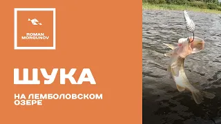Щука на колебалку. Хищники Лемболовского озера 2023. Рыбалка с лодки в Ленинградской области.
