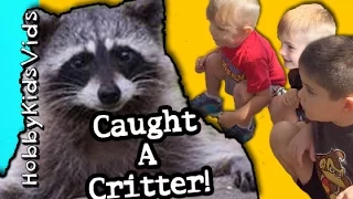 Critter Catcher! Caught 2 Critters with Havahart Cage Wild Animals by HobbyKidsVids