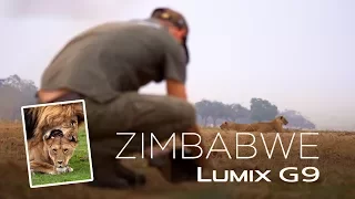 Zimbabwe Wildlife Photo Shoot | Behind The Scenes by Bence Máté with a LUMIX G9