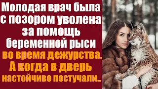 Молодая врач была уволена с позором за помощь беременной рыси во время дежурства. А когда в дверь...