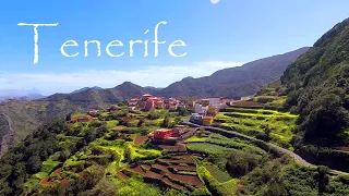Tenerife South to North: The Canary Islands - Are any Adventures left? Part 1