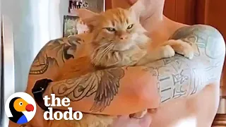 Abandoned Cat Who Was Found In Parking Lot Loves To Cuddle With His Dad Now | The Dodo Cat Crazy