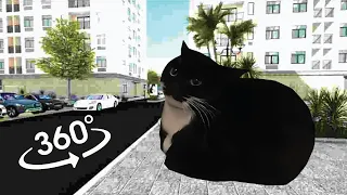 Maxwell The Cat but it's 360 degree video | VR 360 maxwell cat