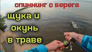 ВОТ ЭТО ПОКЛЁВКА! Крутая рыбалка за короткое время. Щука с берега летом в жару.