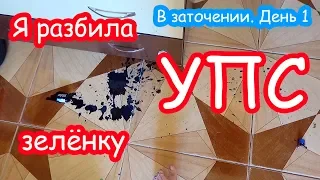 VLOG Я разбила зелёнку