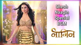 Shesh Naagin Special BGM | Naagin 6 | Colors Music's