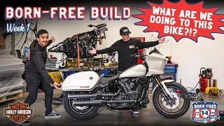 What are we doing to this Harley-Davidson Low Rider ST? Born Free Build - Week 1 - Vlog 69