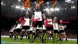 【ラグビー】激アツハカ集   THE-HAKA