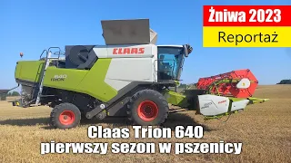 Żniwa 2023: Claas Trion 640 pierwszy sezon w pszenicy