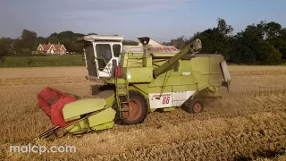 Harvest 2021 - Claas Dominator 66 cutting spring barley in Kettleburgh