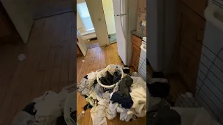 Evicted Tenant Leaves Property A Mess