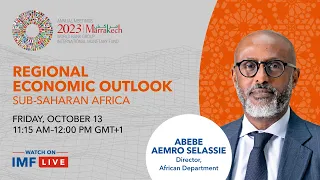 Press Briefing: Regional Economic Outlook for Sub-Saharan Africa, October 2023
