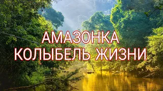 Дикая природа Амазонки. 1-я Серия. HD. Документальные фильмы. Природа.