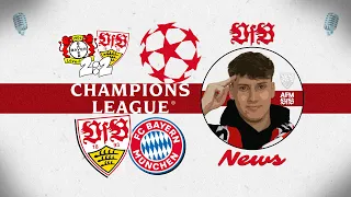 VfB Stuttgart: Leverkusen 😤 Champions League Euphorie 🏆😍 Vorfreude gegen die Bayern ⚪🔴