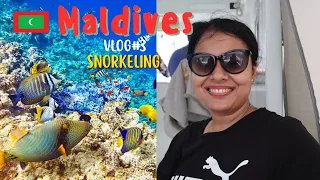 Maldives Vlog#3 | Snorkeling