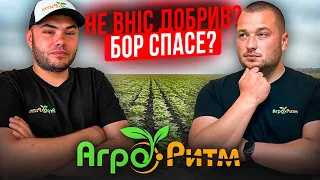 ❗️НЕ ВІНС ДОБРИВ?БОР СПАСЕ? ДАЙТЕ БОРУ АЛЬДАЗОРУ.