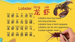 中文海洋动物 | 汉语海洋动物#10 龙虾 | Sea Animals in Mandarin Chinese#10 Lobster