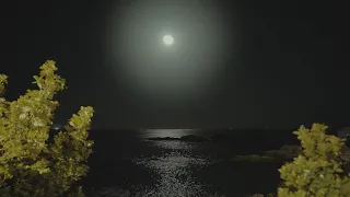 Relaxing Sounds of Night Ocean - Full Moon Night With Wave Sounds for deep sleep