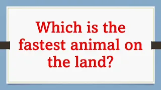 Which is the fastest animal on the land?/general knowledge/gk@littlestar1992