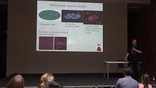 Онлайн трансляция: Олег Верходанов. Современные задачи космологии.