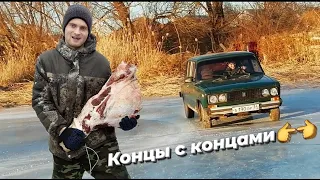 Продаем хрюшу и дрифтим на жиге по озеру / Итоги свинодрамы