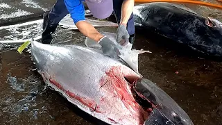 The World's No.1 Bluefin Tuna Peeling Skills
