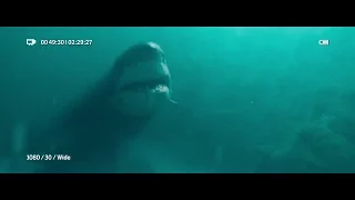 The Shallows - shark attack