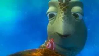 Alla ricerca di Nemo - un estratto tartarughe surfiste CIAO BELLO-