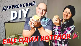 Складной Стол Своими Руками в Деревенском стиле. Жизнь в деревне. DIY. Дача Огородные дела в разгаре