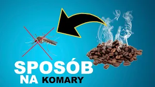 Jak odstraszyć KOMARY?  ❌Prosty domowy sposób jak pozbyć się komarów z domu i ogrodu 💚🆘