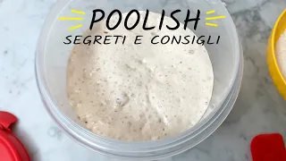 Tutti i segreti per un poolish sempre perfetto! Garantito