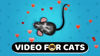 CAT GAMES - Cute Mouse. Mice Video For Cats | CAT & DOG TV | 1 Hour.