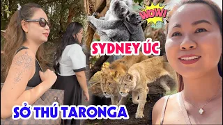Thăm Sở Thú Taronga Nằm Bên Bờ Vịnh Tuyệt Đẹp Ở Sydney, Úc | Đến Mỹ Cùng Mai