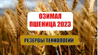 Озимая пшеница 2023. Резервы технологий.