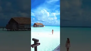 COMO Cocoa Island, Maldives 🇲🇻 #youtube #subscribe #shortsads #reelitfeelit