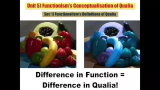 Sec 1 Functionalism’s Definitions of Qualia